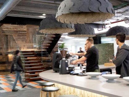 The Future of Workspace Design: Embracing Biophilic Design & How to Incorporate it